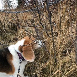 Meet your Posher, Pascale